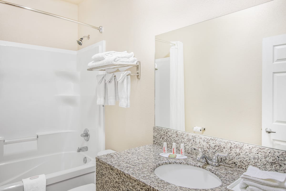 combined shower/bathtub, free toiletries, hair dryer, towels