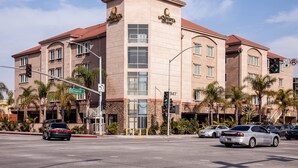 A hotel with a beige facade, multiple windows, and palm trees in front.