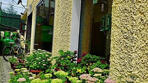 A building with a textured facade, a bicycle parked outside, and a variety of potted plants and flowers in front. - Hotel SADAF (Srinagar)