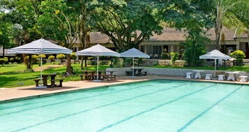 Outdoor pool, pool umbrellas, sun loungers