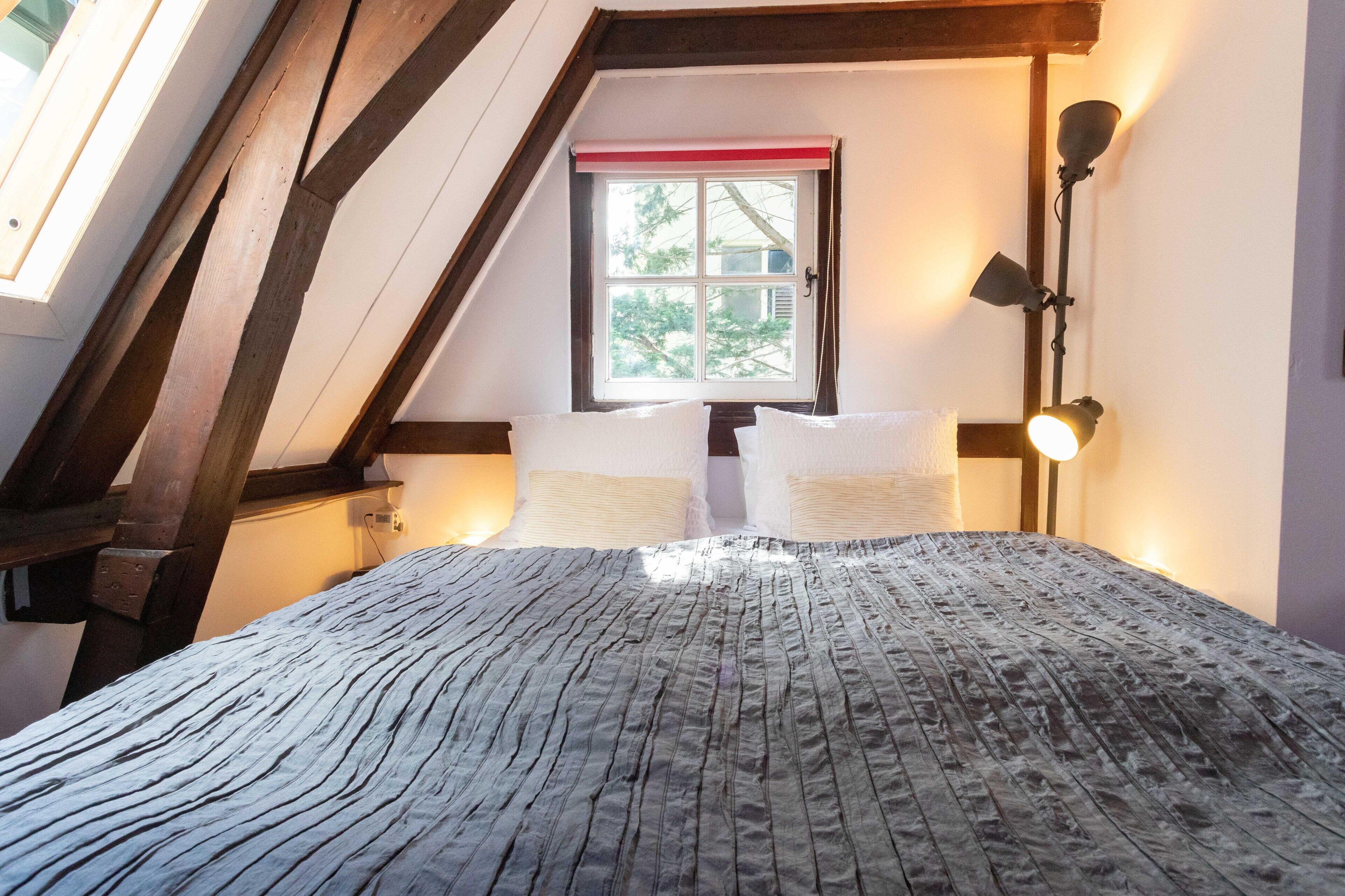 Photo - Tulip of Amsterdam