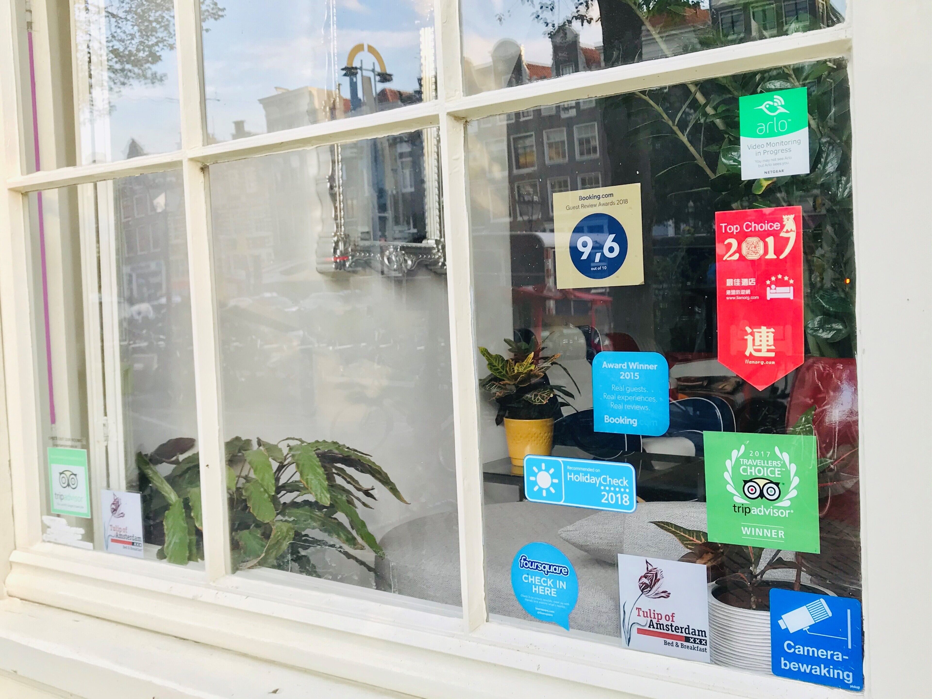 Photo - Tulip of Amsterdam