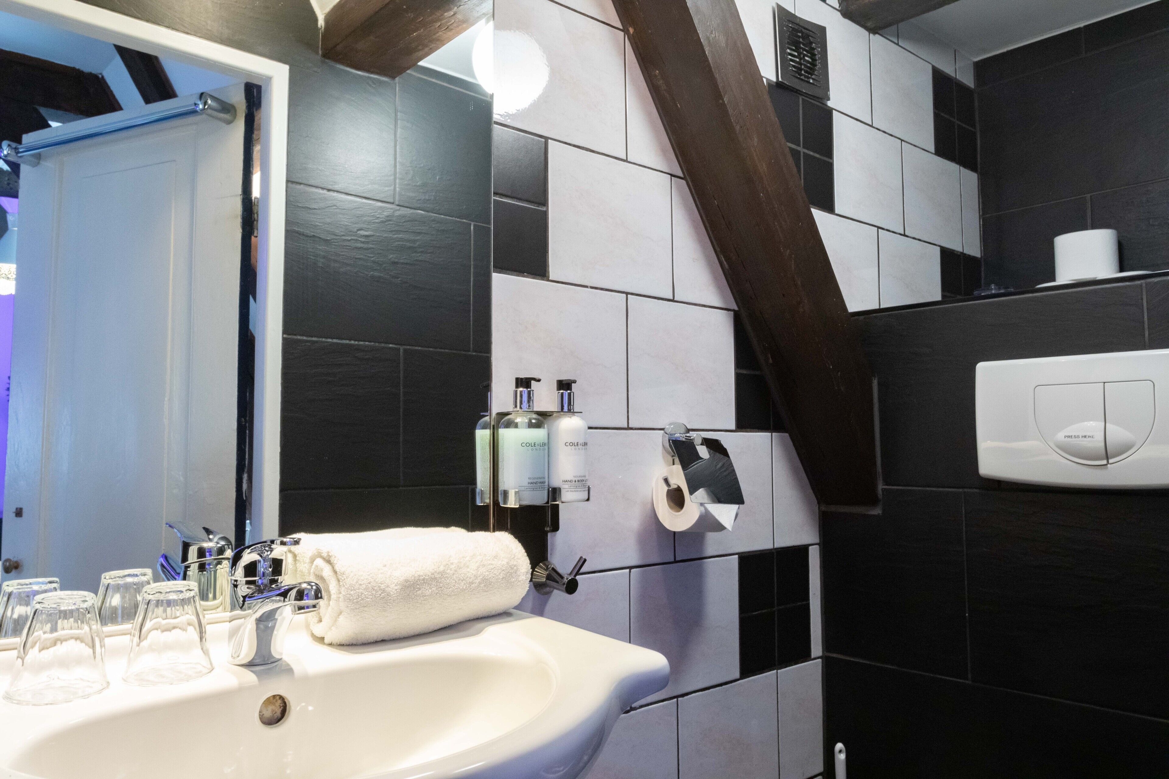 Photo - Tulip of Amsterdam