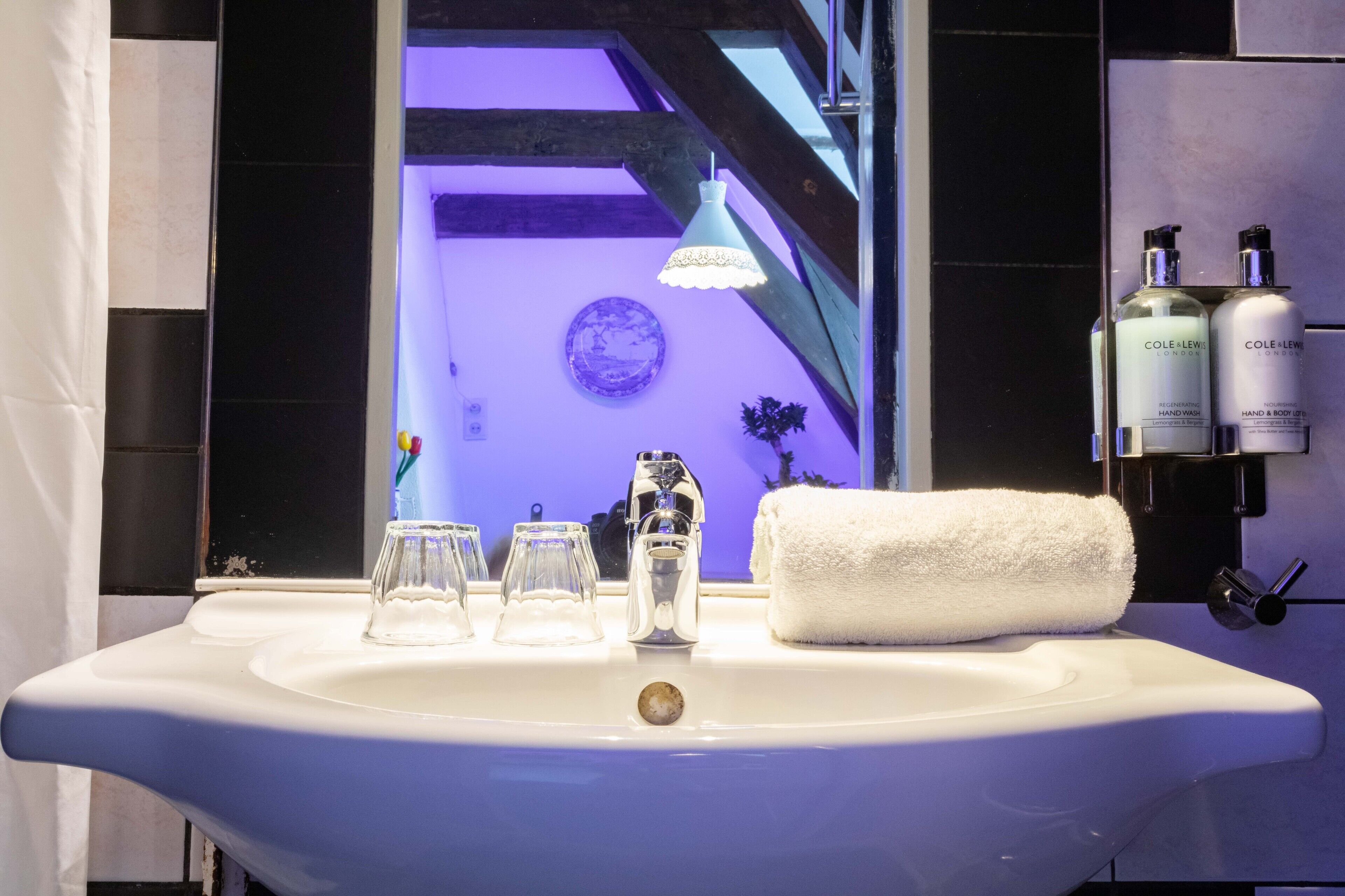 Photo - Tulip of Amsterdam