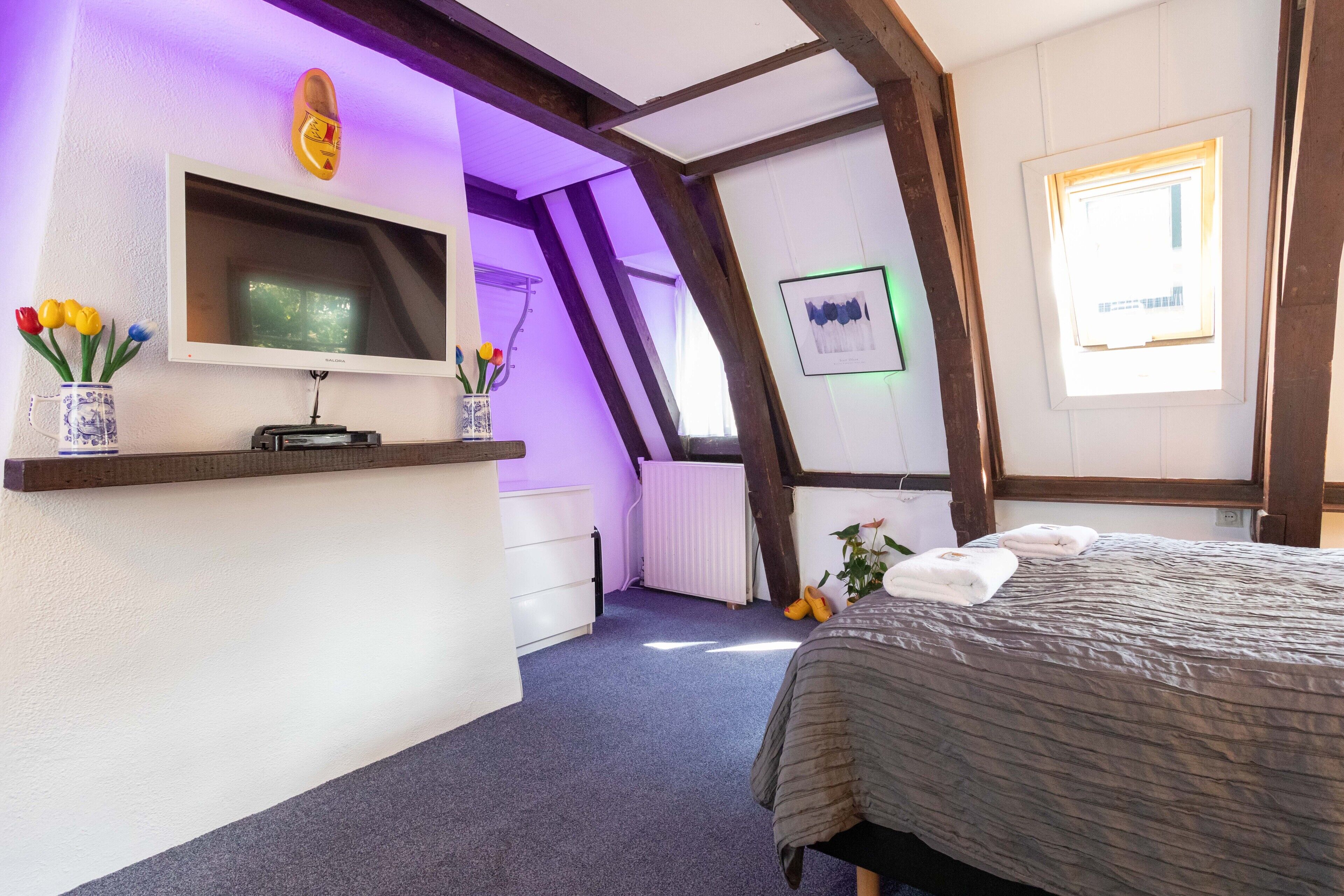 Foto - Tulip of Amsterdam