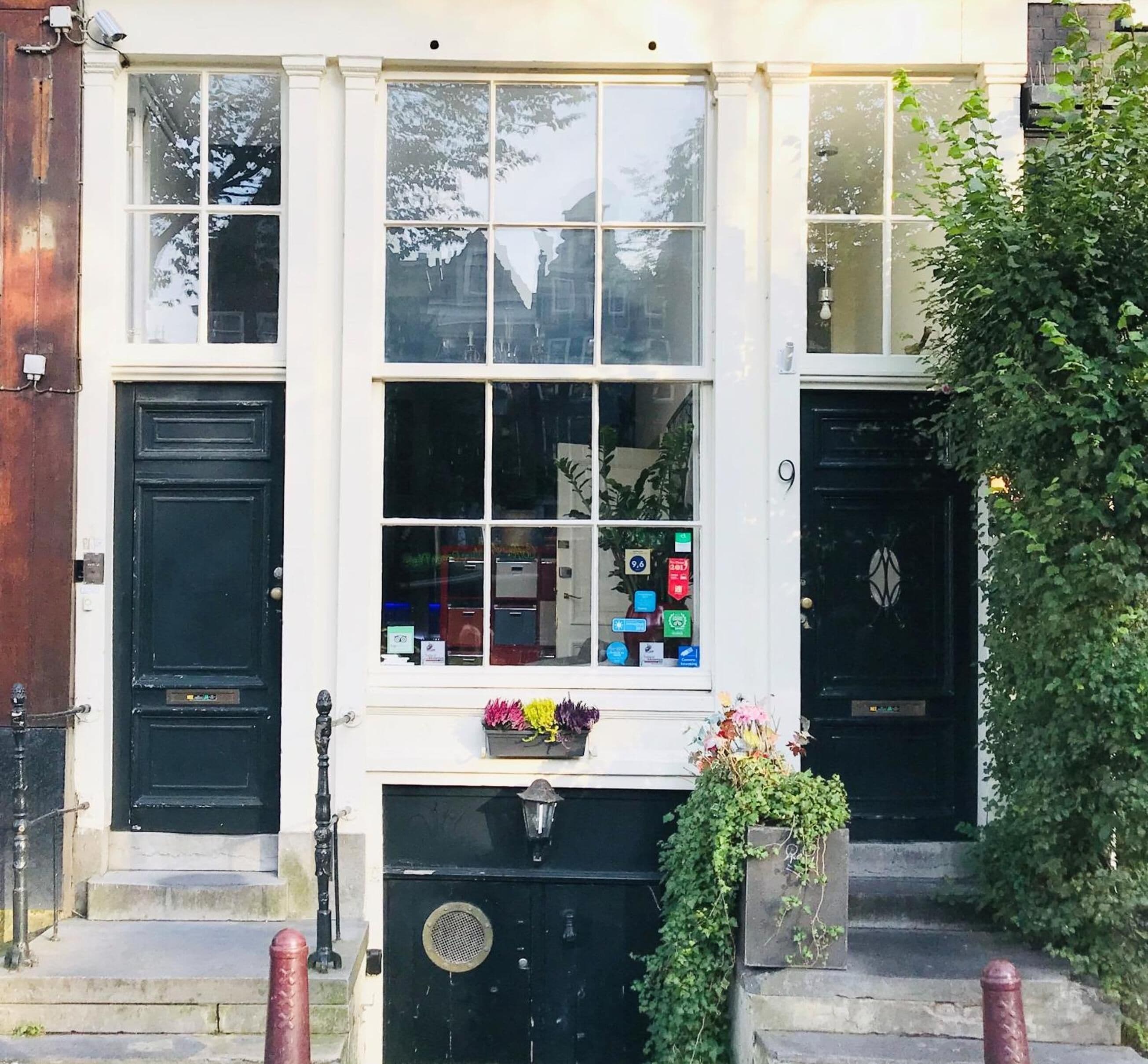 Photo - Tulip of Amsterdam