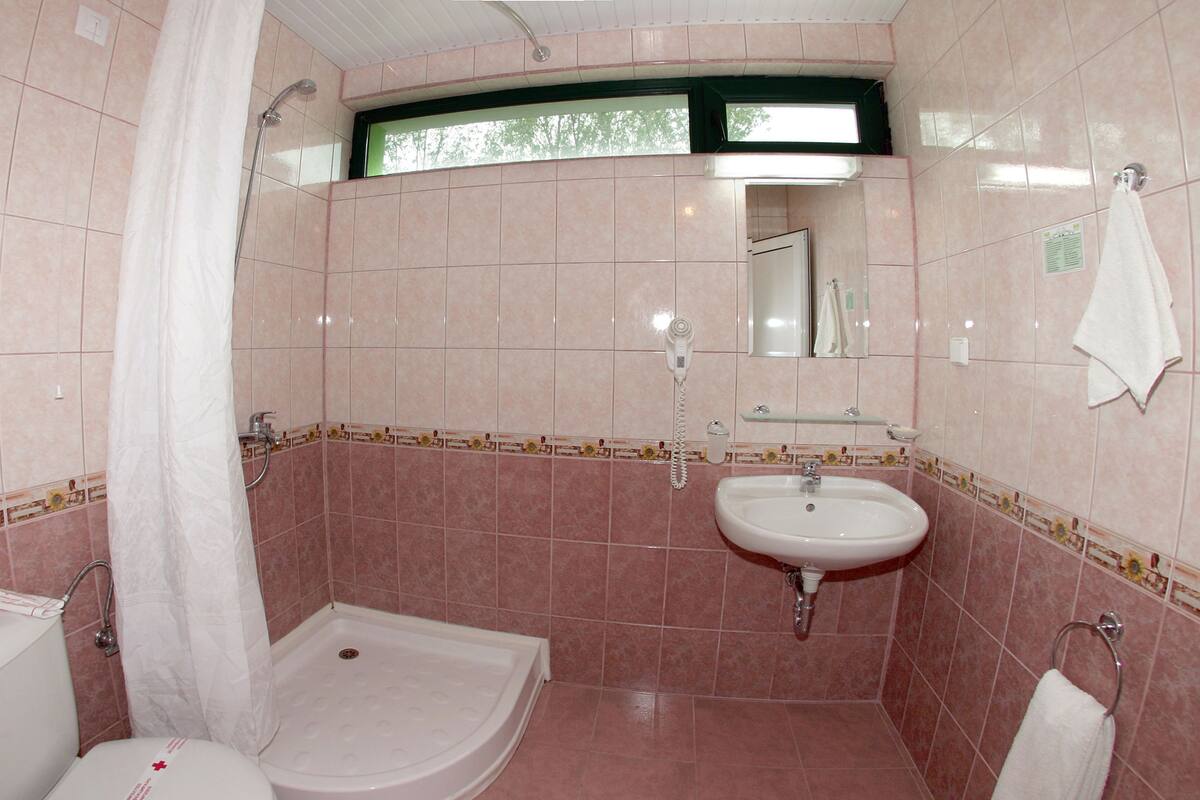 shower, free toiletries, hair dryer, towels