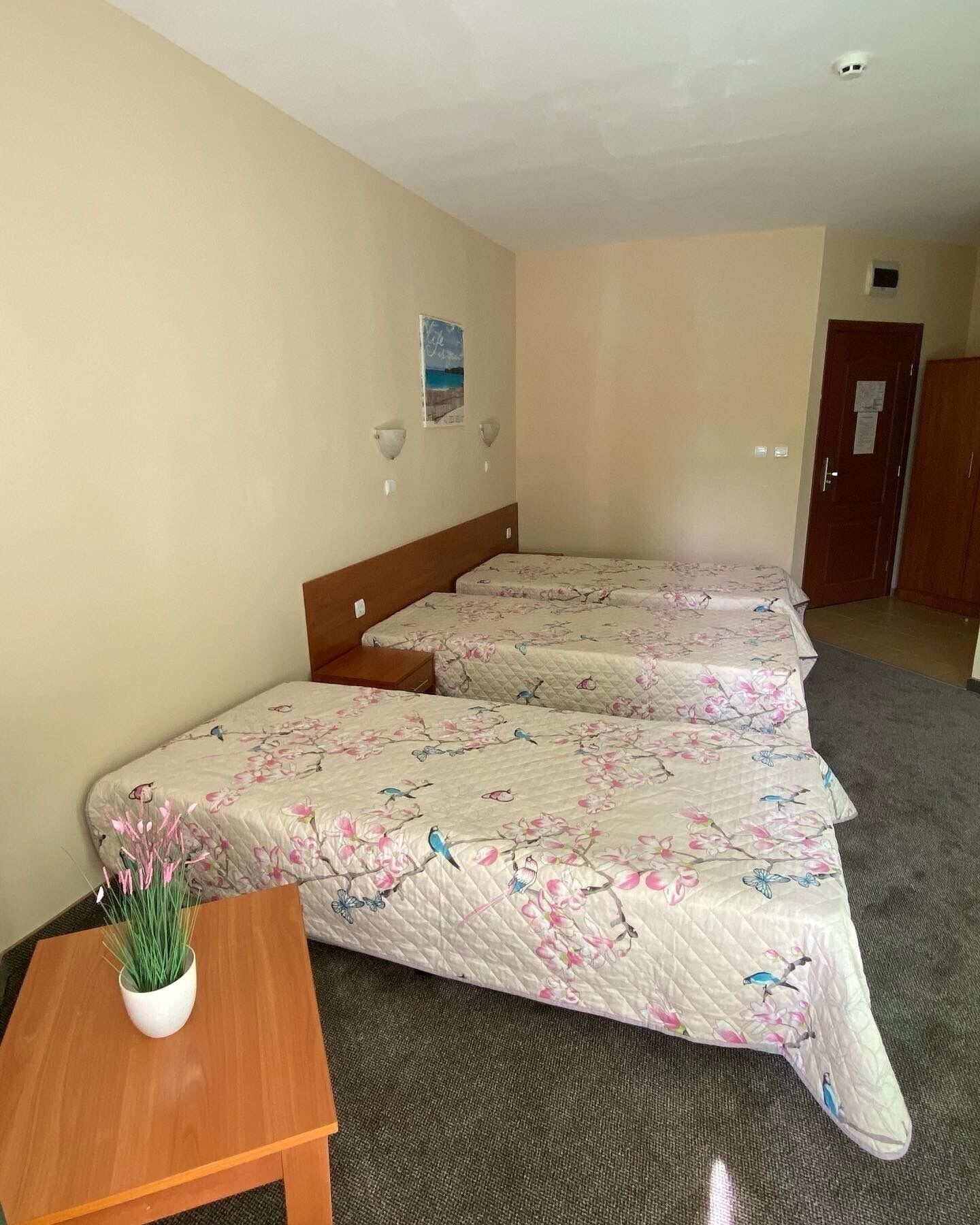 A room with two single beds, a small table with a potted plant, and a door with a notice.