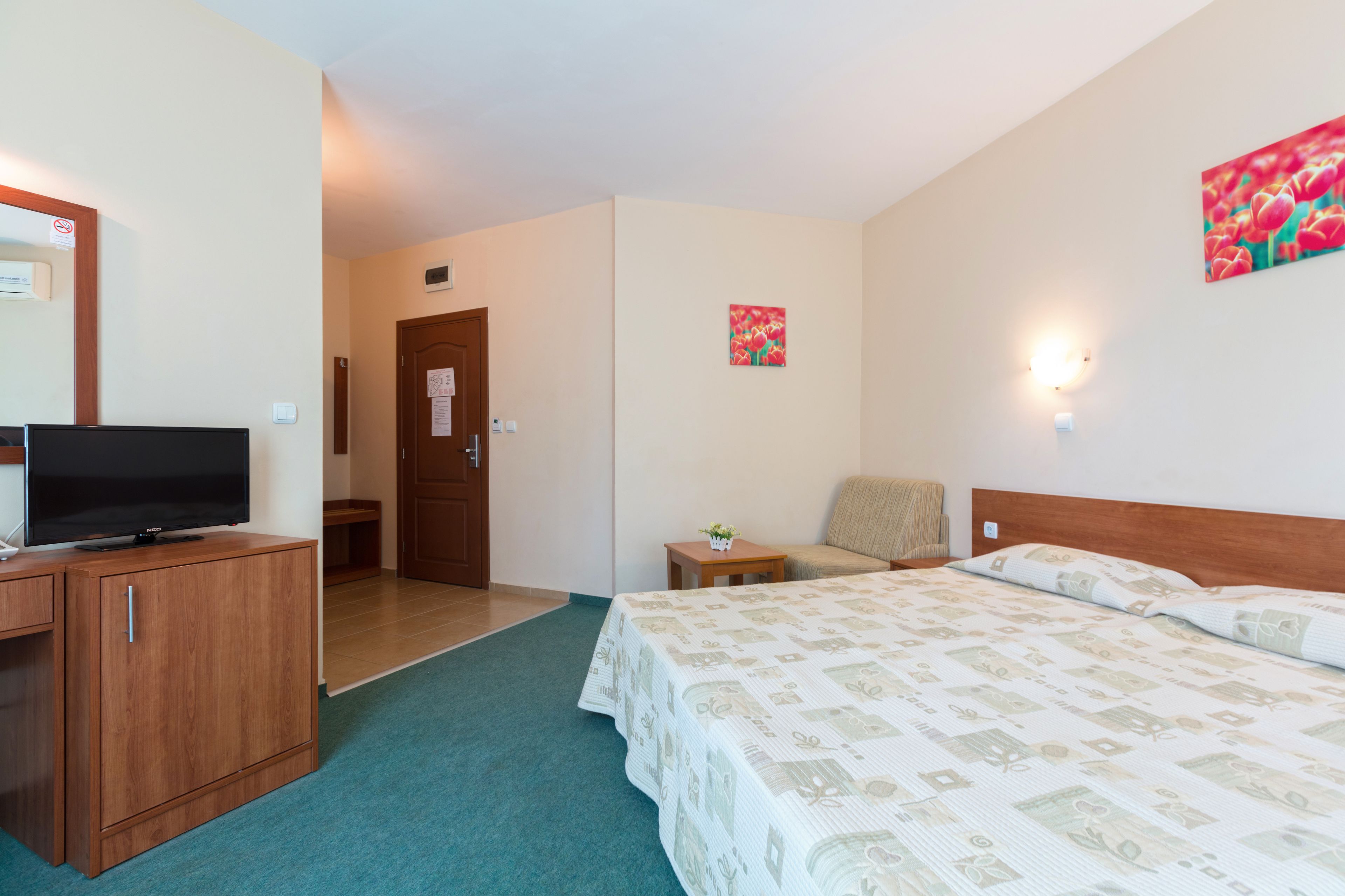 A hotel room with a bed, a TV on a wooden cabinet, a small table with a plant, and a door leading to another room.