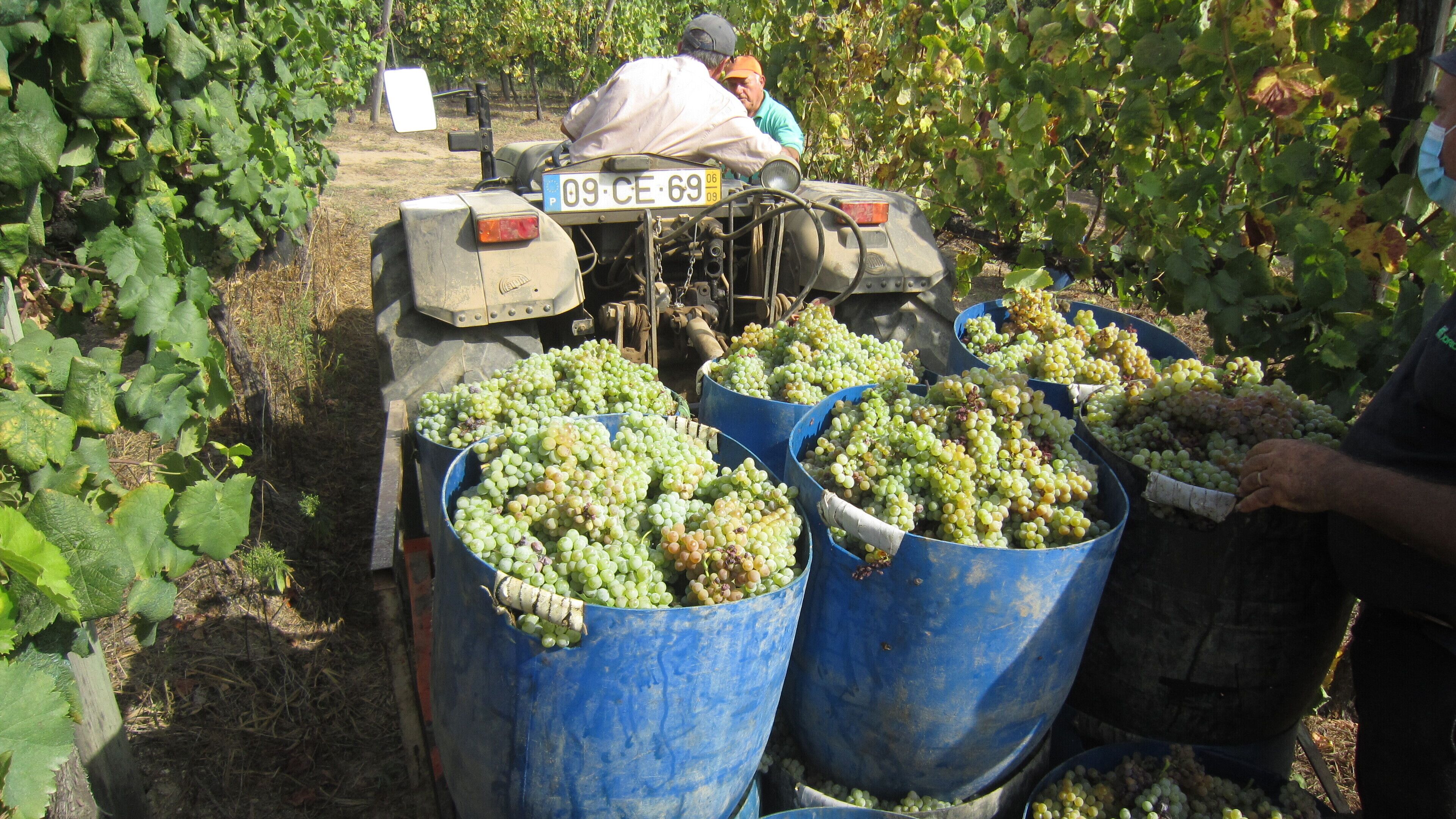 Foto - Paco de Pombeiro - Turismo de Habitacao