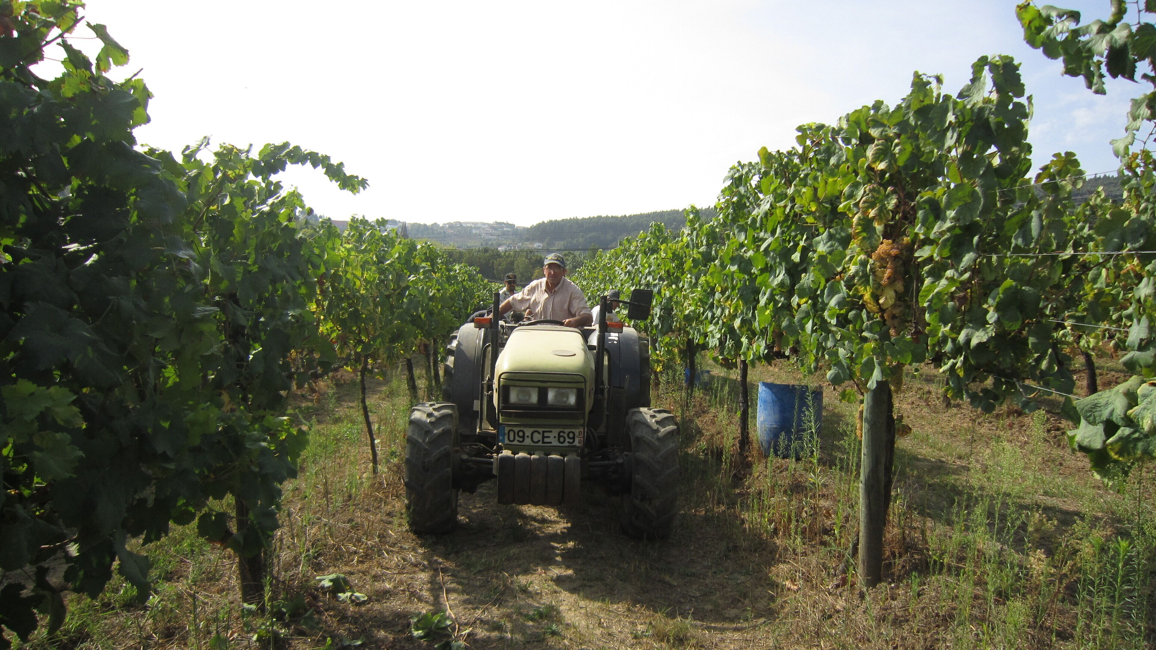 Foto - Paco de Pombeiro - Turismo de Habitacao