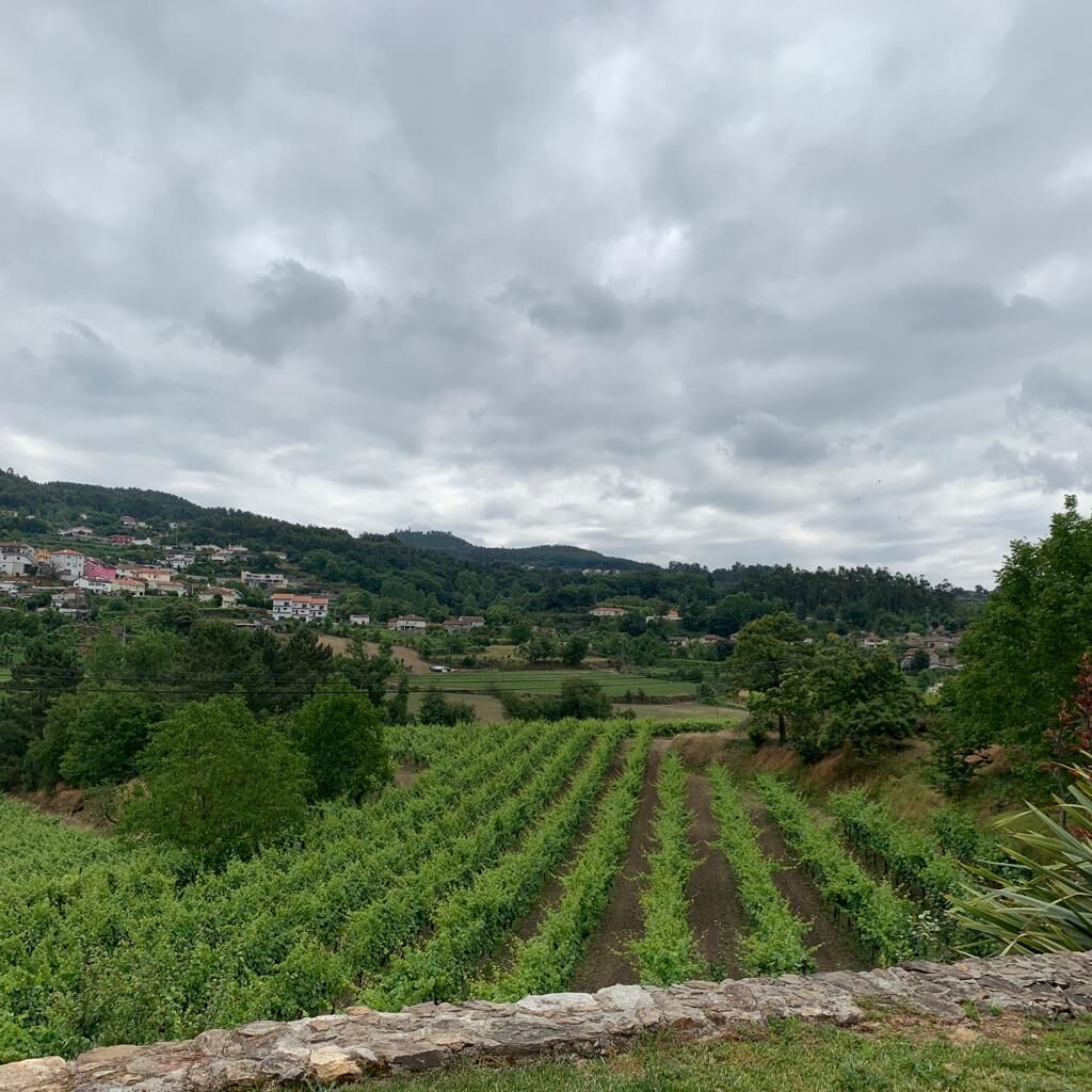Foto - Paco de Pombeiro - Turismo de Habitacao