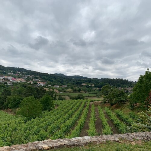 Paco de Pombeiro - Turismo de Habitacao