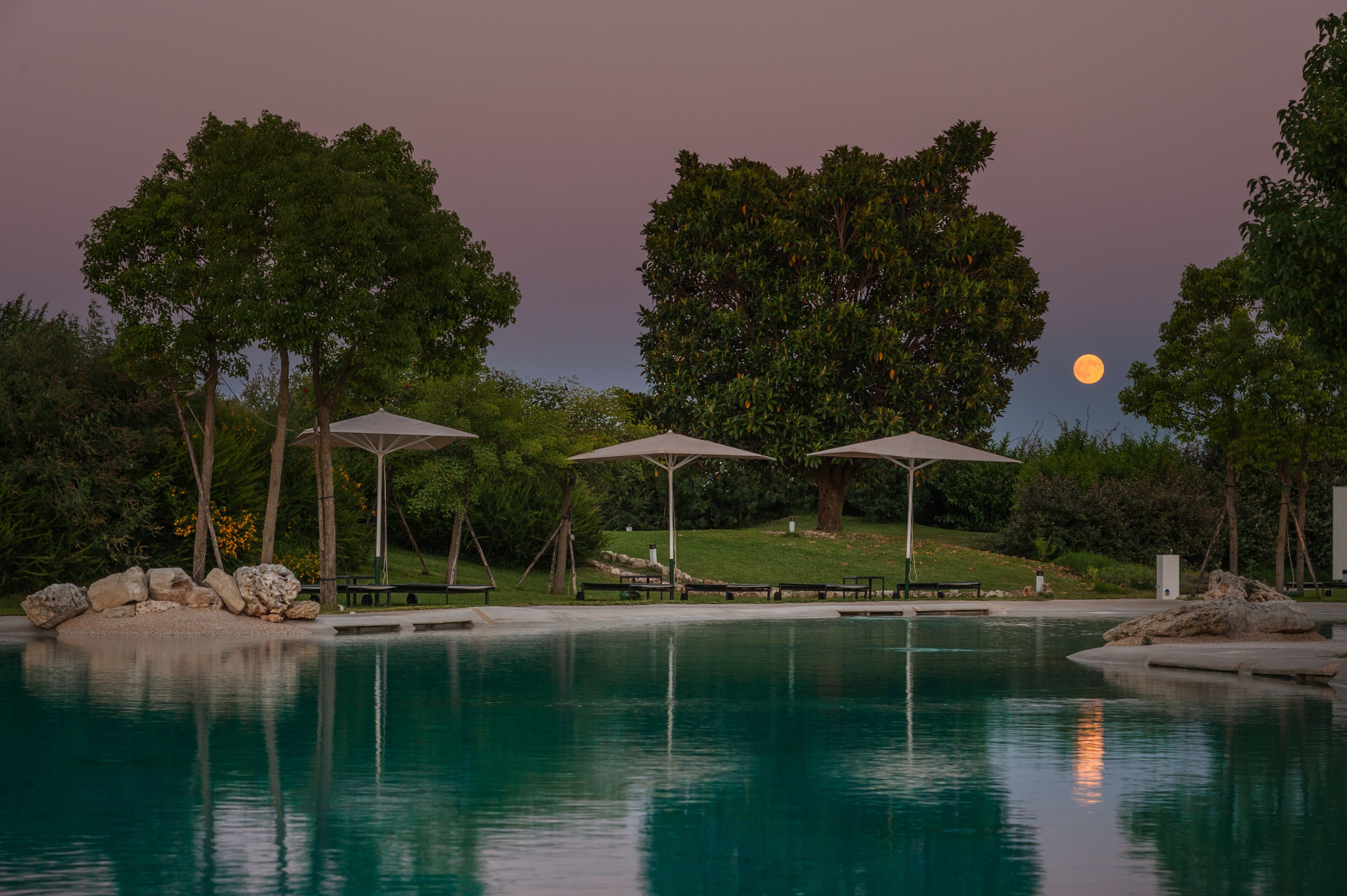 outdoor pool, pool umbrellas, pool loungers