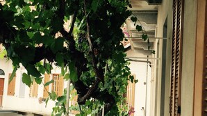 Unclassified image, 4 of 64, button - Albergo San Lorenzo (Alba)