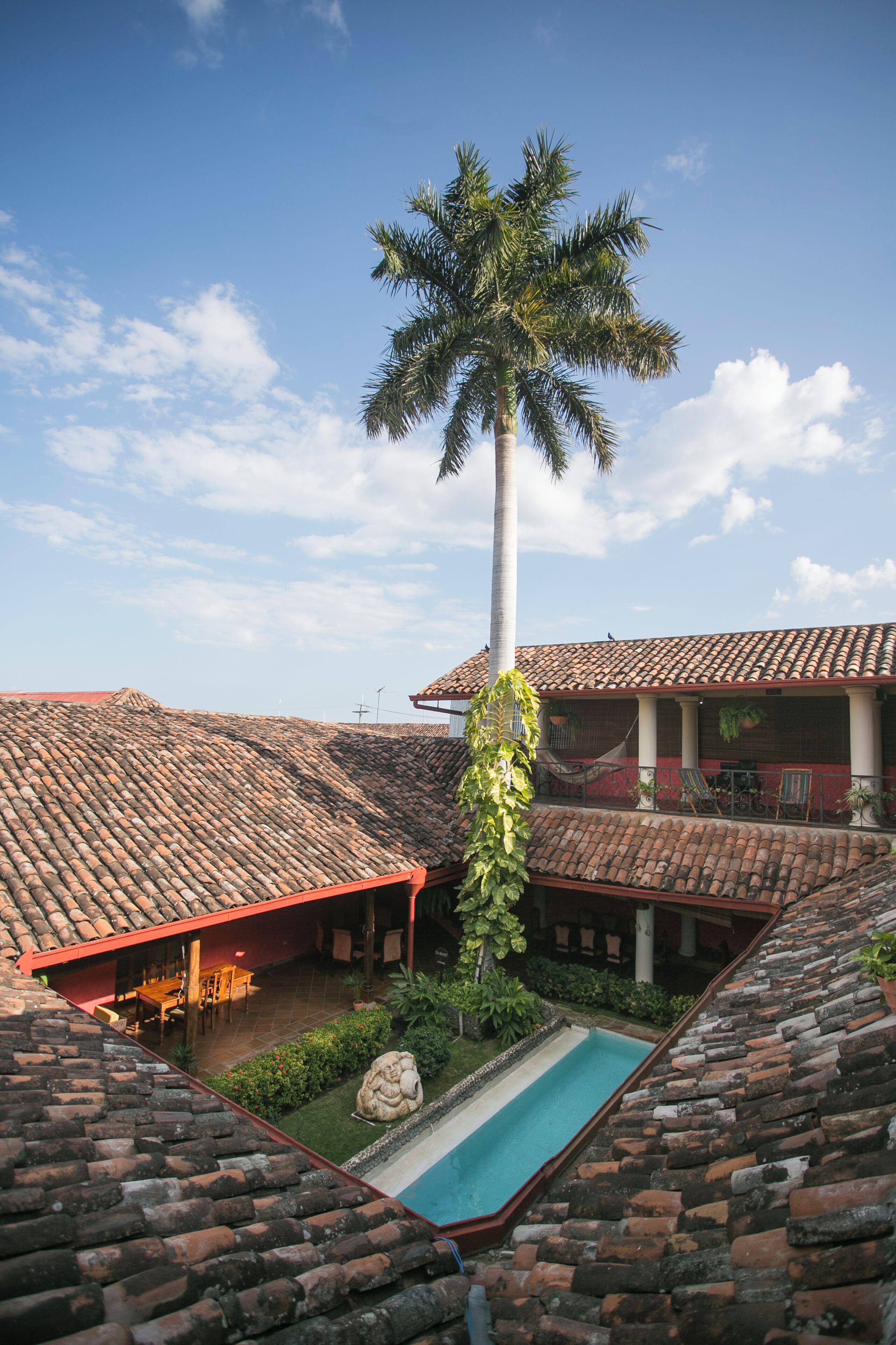 A courtyard with a swimming pool, a tall palm tree, and a building with a tiled roof.