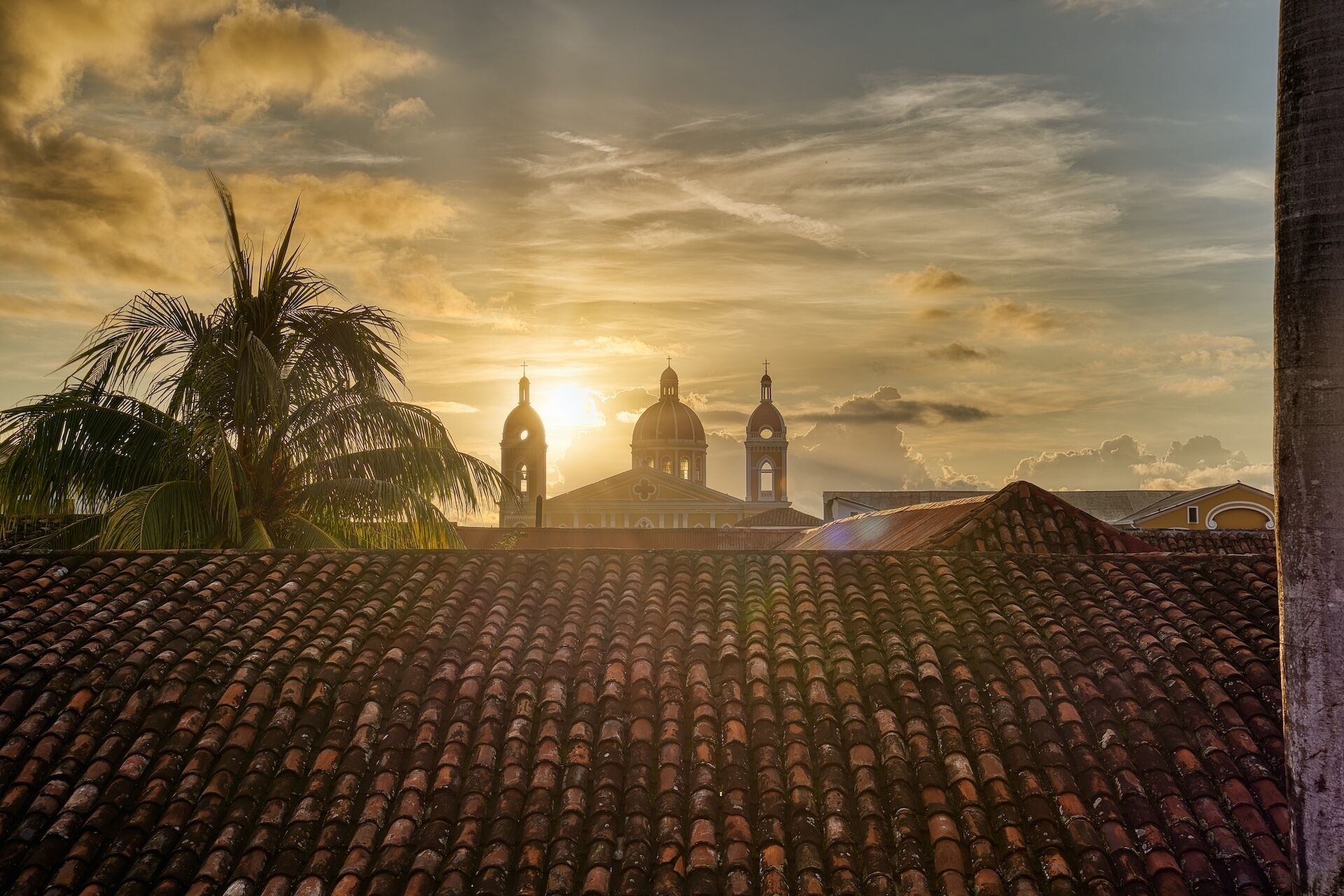 A building with a tiled roof, a palm tree, and a church with domes.