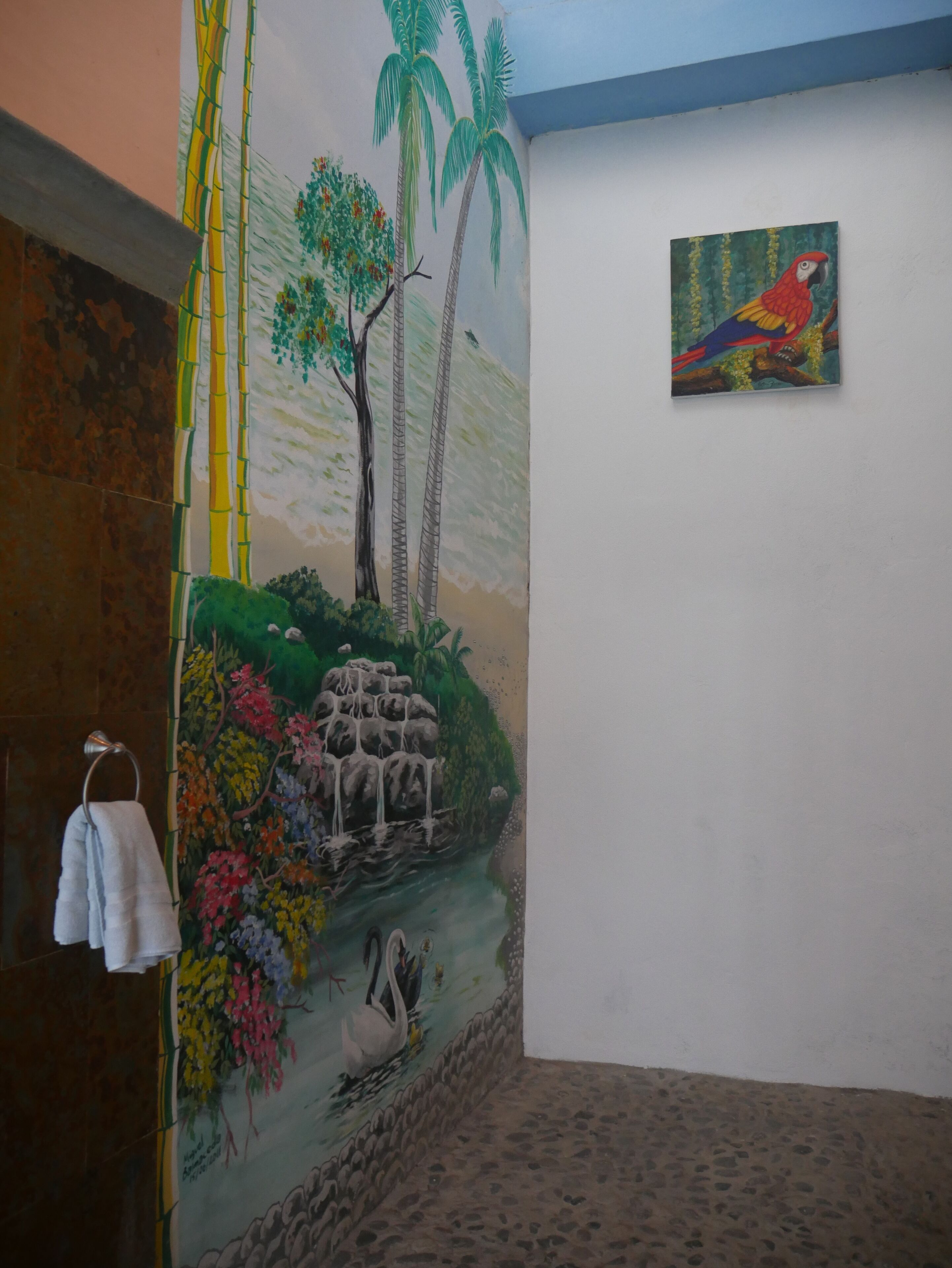 standard room | bathroom shower