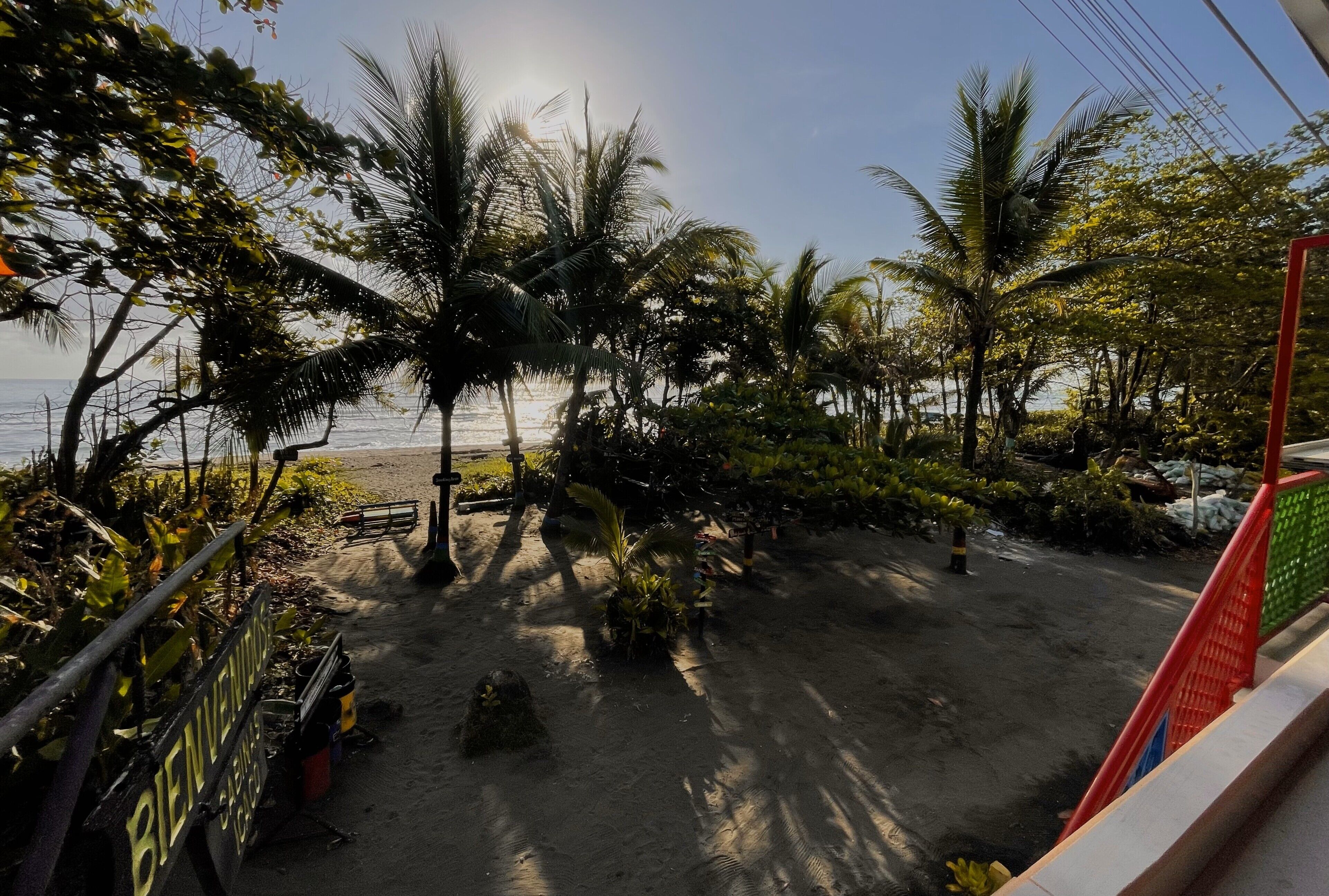 A beach area with palm trees and a sign that reads "BIENVENIDOS."