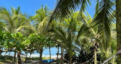 Hotel El Icaco Tortuguero