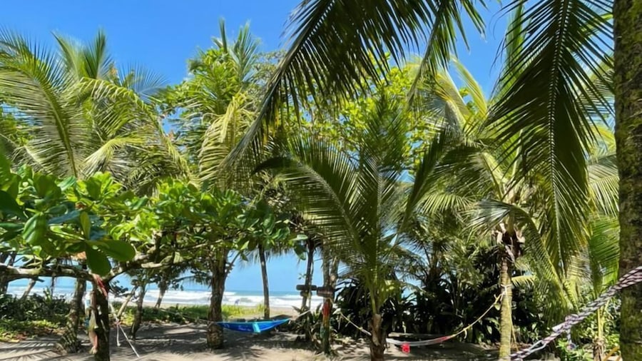 Hotel El Icaco Tortuguero