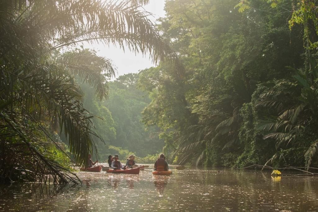 Foto - Hotel El Icaco Tortuguero