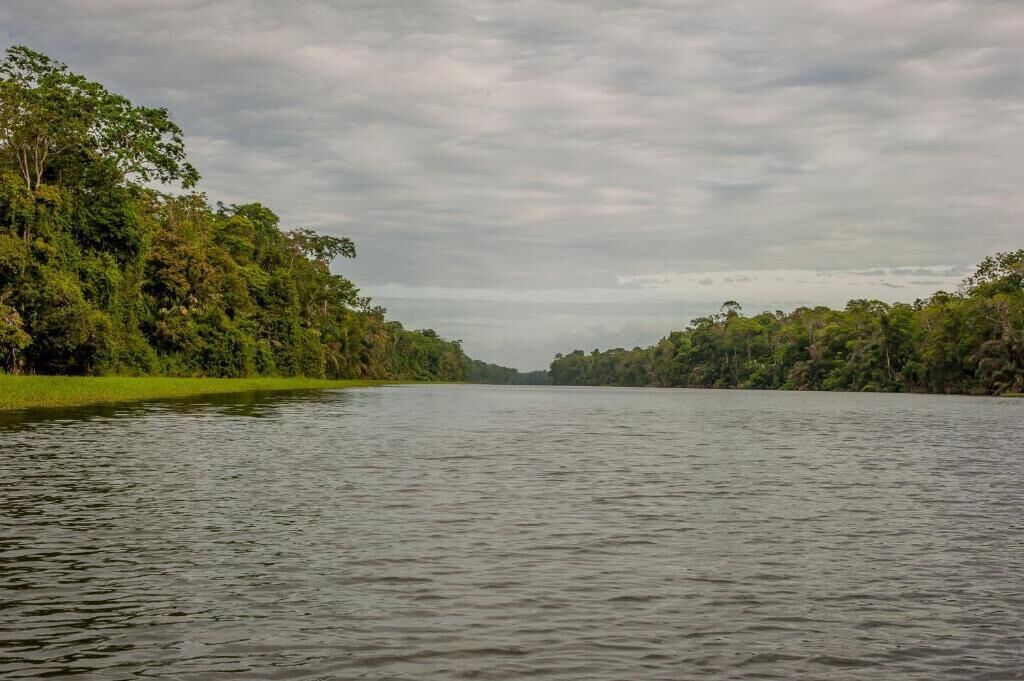 Photo - Hotel El Icaco Tortuguero