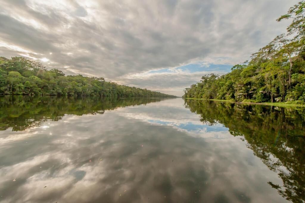Foto - Hotel El Icaco Tortuguero