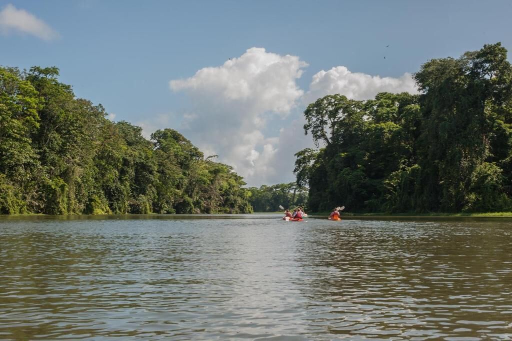 Foto - Hotel El Icaco Tortuguero