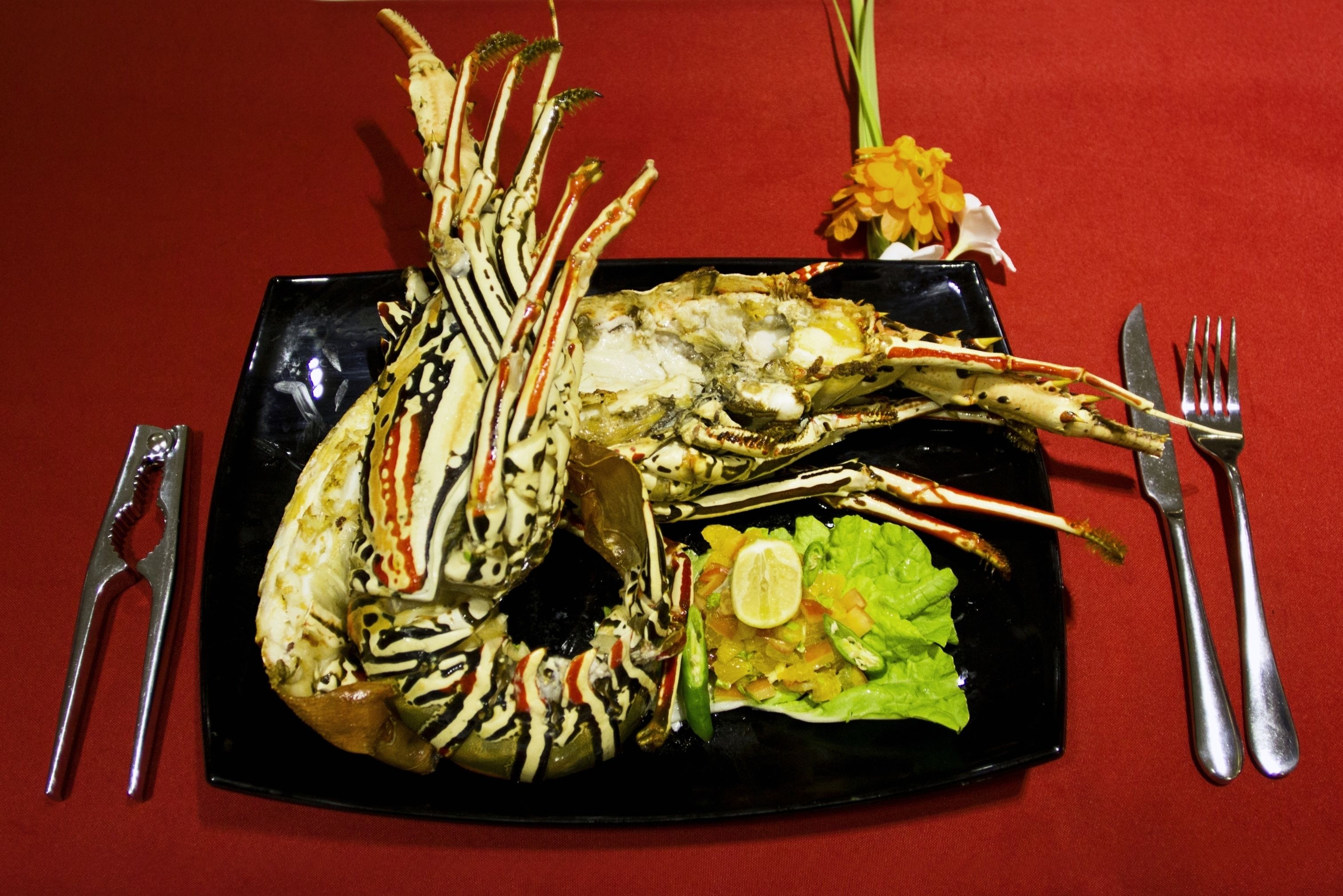 A lobster dish on a black plate with a red tablecloth, accompanied by a fork, knife, and a small salad with a lemon wedge.