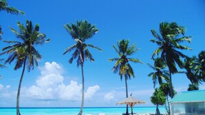 A beach with white sand, palm trees, and a clear blue sky.