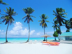 A beach with white sand, palm trees, and a clear blue sky.