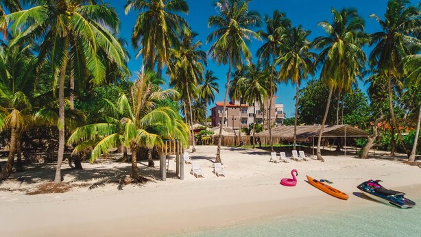 A beach with palm trees, a building in the background, and a couple of kayaks on the sand.