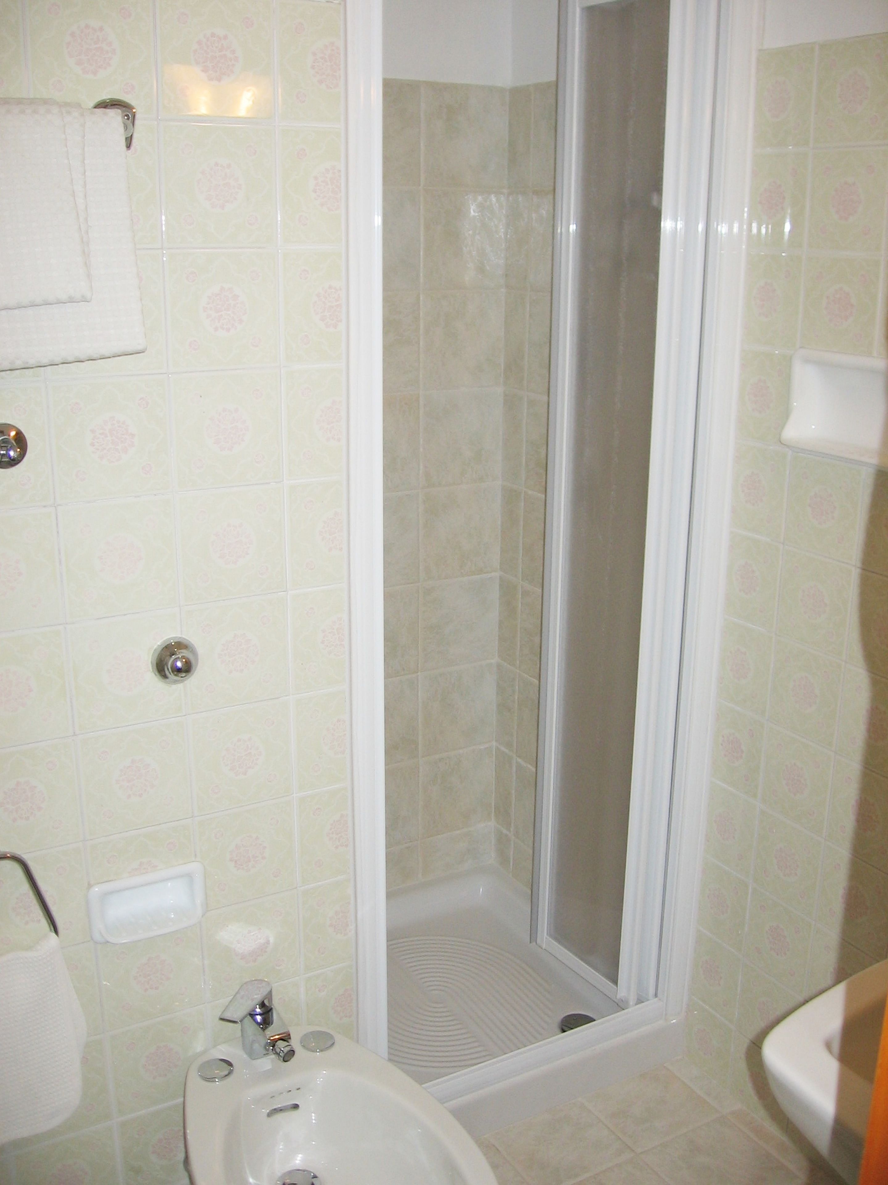 shower, free toiletries, hair dryer, bidet