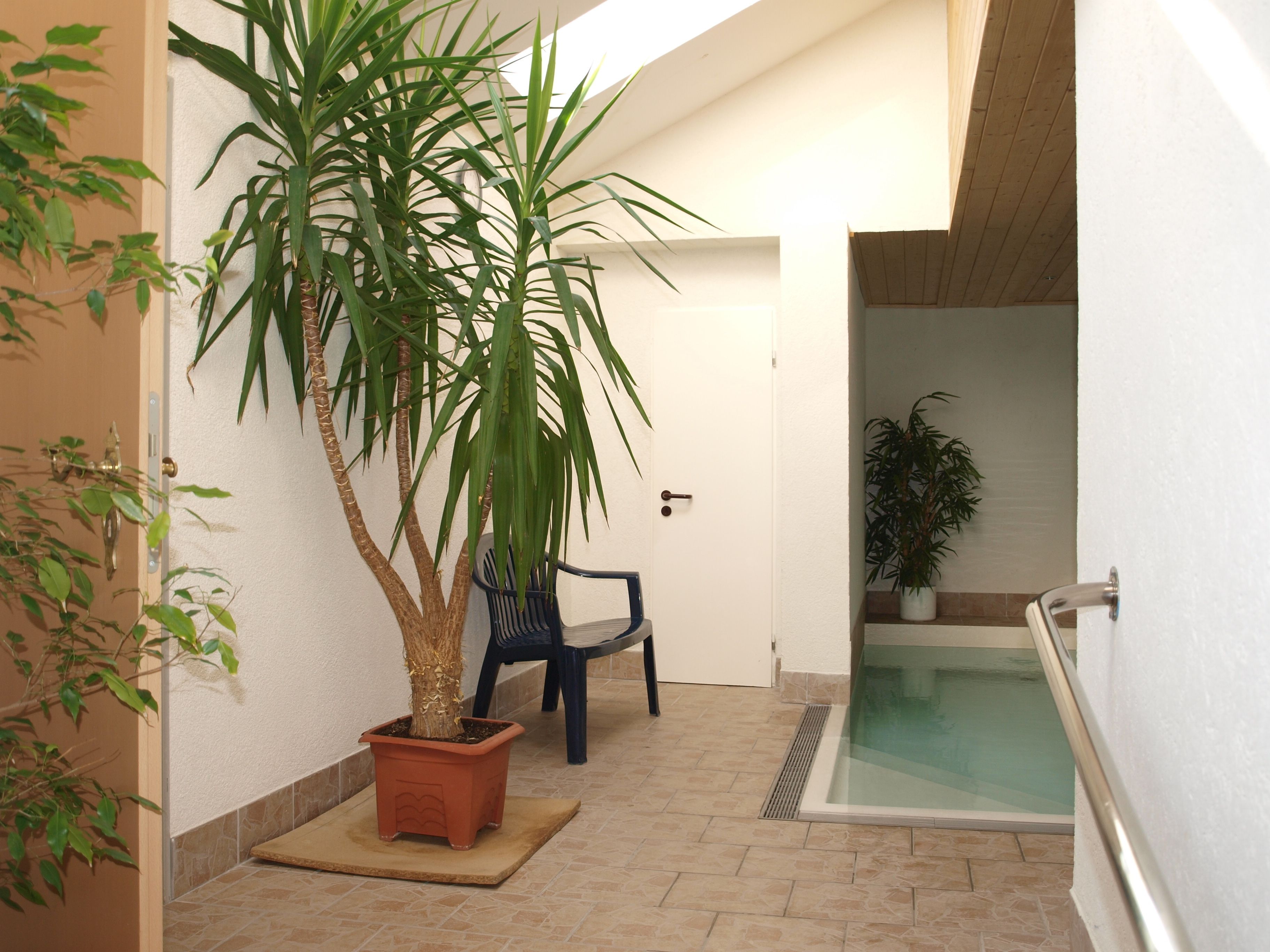 indoor pool, open 7:00 am to 10:30 pm, pool loungers