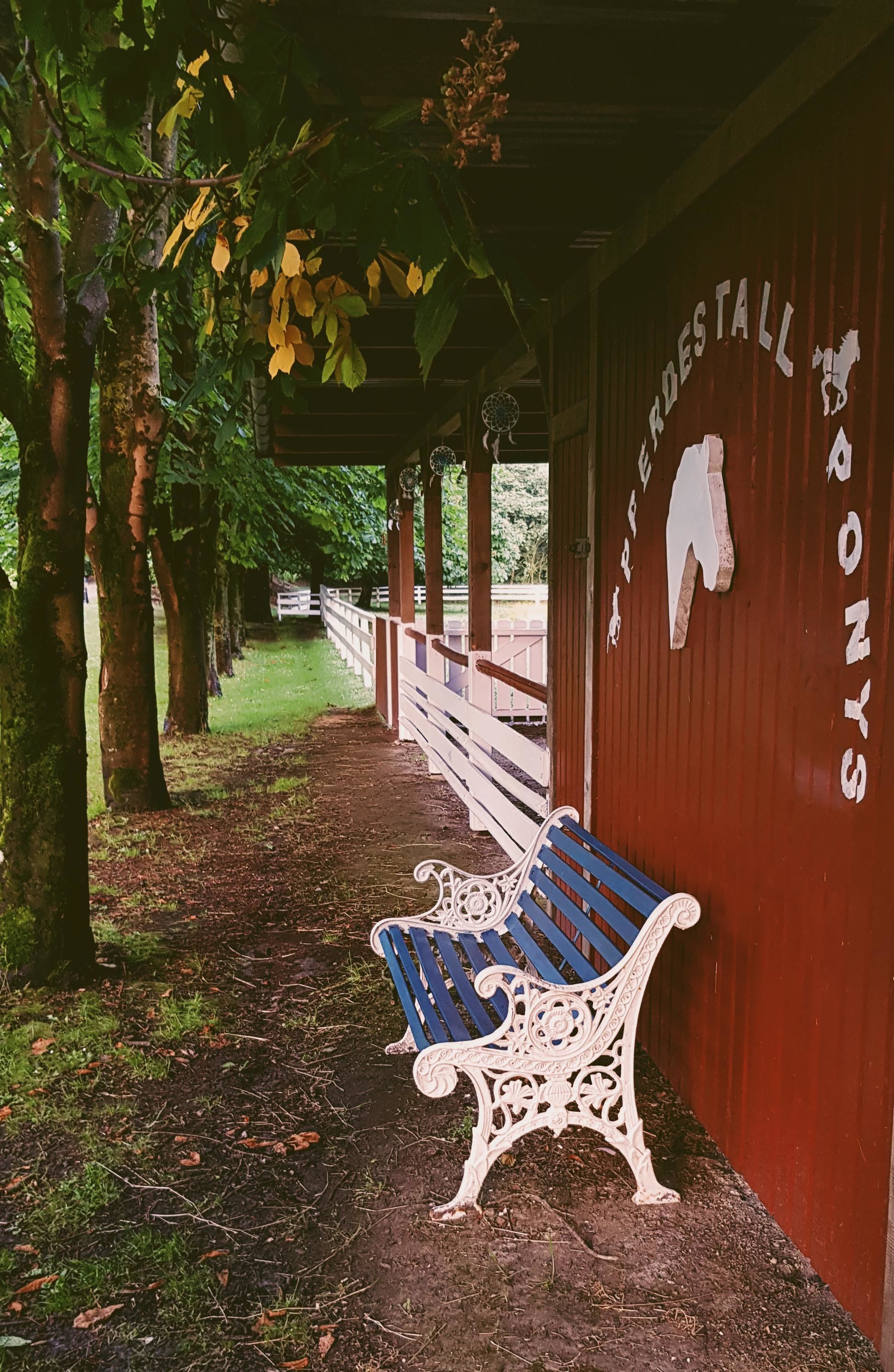 children’s activities