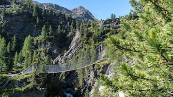 Un pont suspendu enjambant une rivière dans une région montagneuse couverte d’une forêt dense.