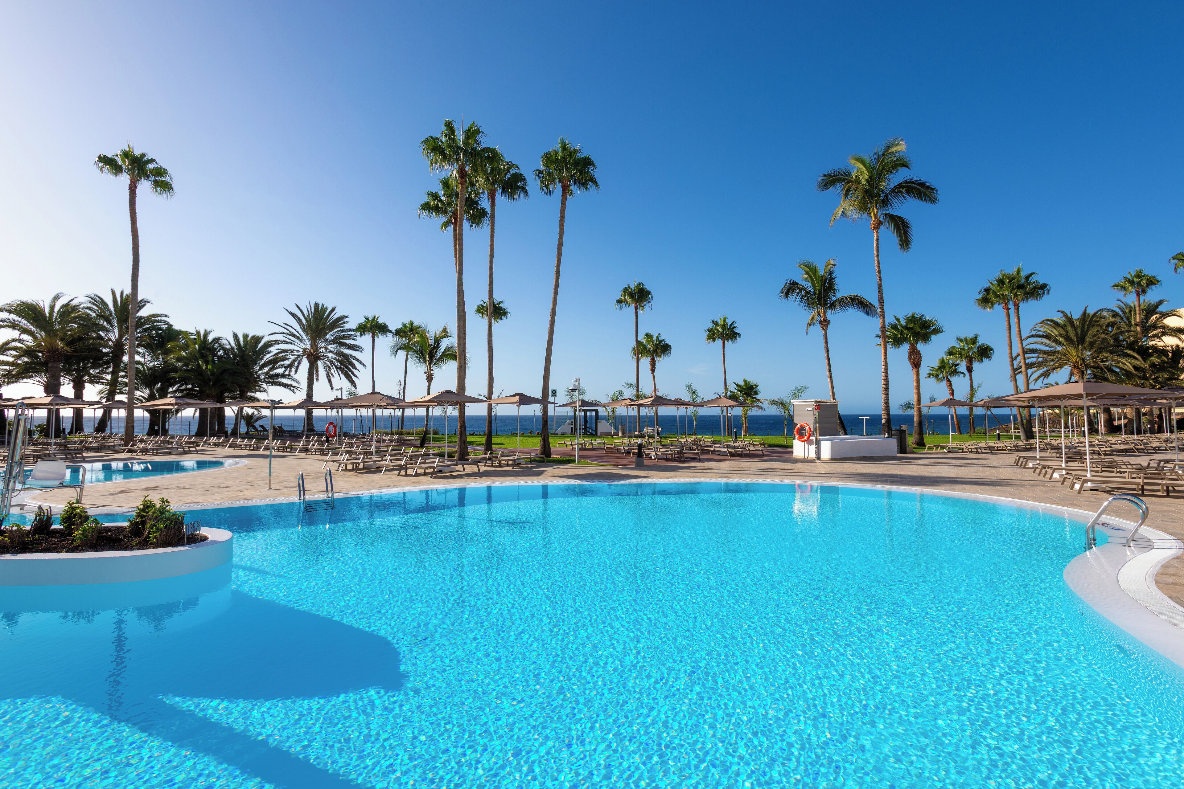 Outdoor pool, sun loungers