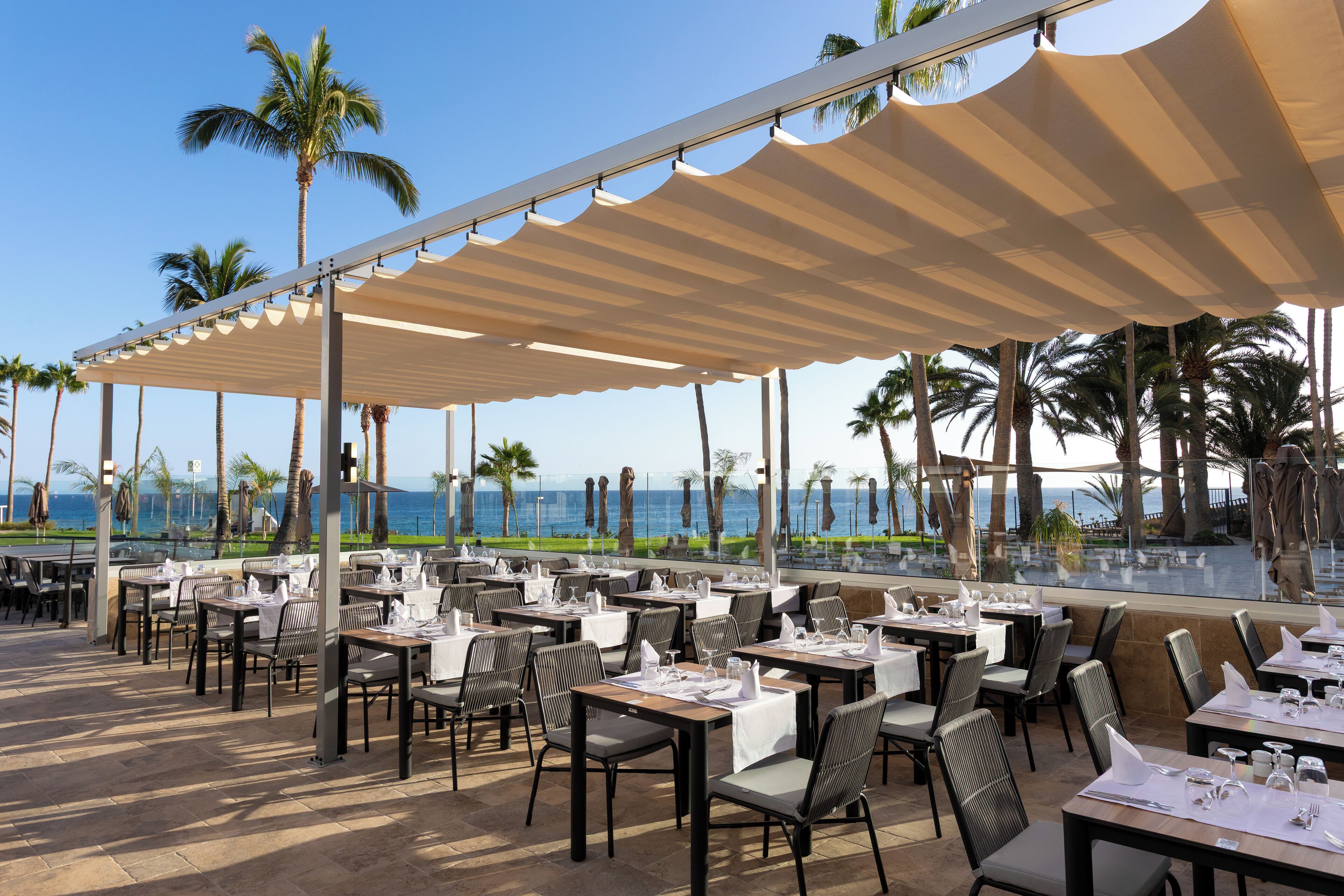 An outdoor dining area with tables and chairs, palm trees, and a view of the ocean.