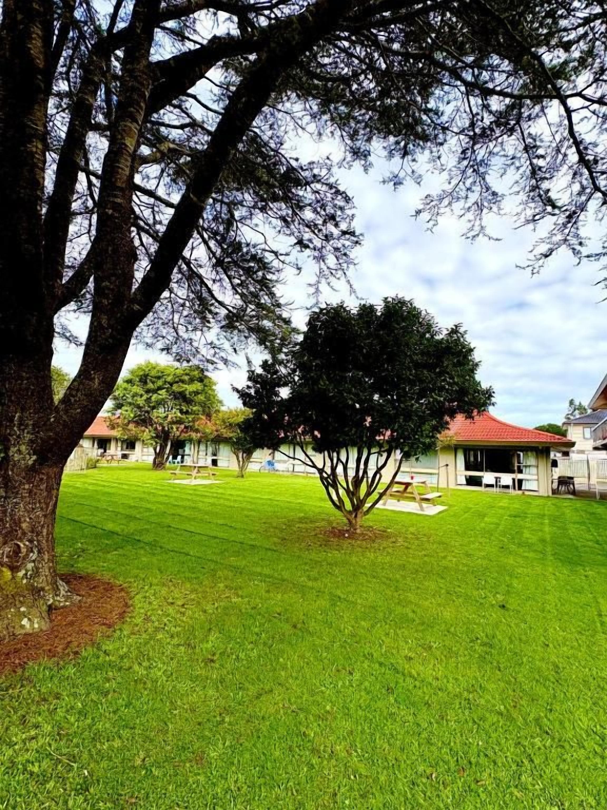 A well-maintained lawn with a large tree and a building with a red roof in the background.