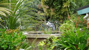 A garden with various plants, a metal fence, and a concrete structure. - Airport Gold Star Motel (Auckland)