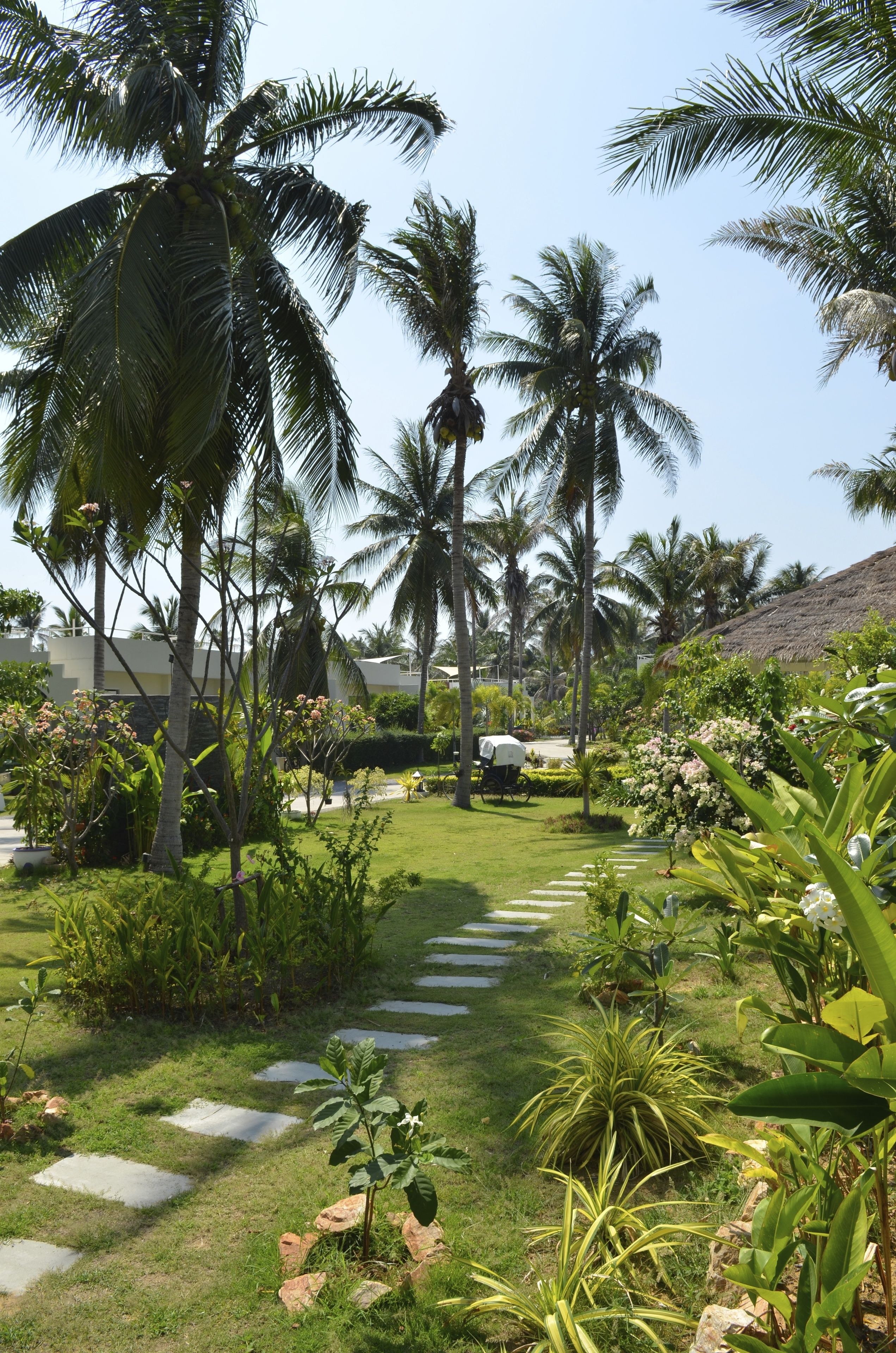 Un jardín tropical con palmeras, un sendero de piedra y abundante vegetación.