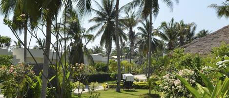 Un jardín tropical con palmeras, un sendero de piedra y abundante vegetación.