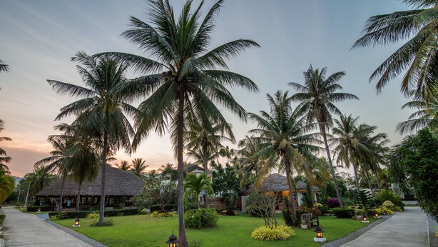 Un resort tropical con palmeras, un edificio de techo de paja y un césped bien cuidado.