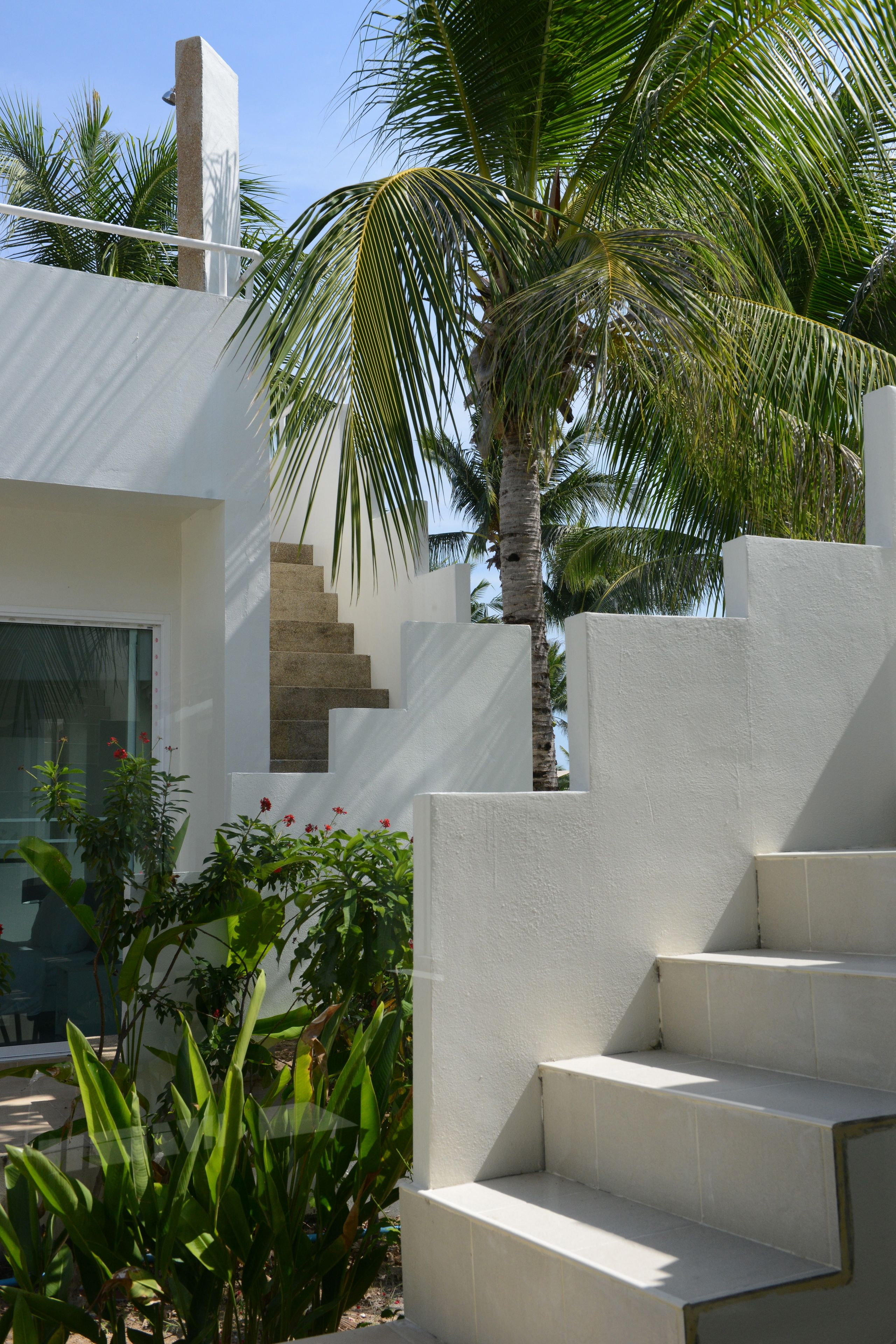 A modern building with a white exterior, a set of concrete stairs, and a palm tree in the background.