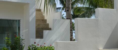 A modern building with a white exterior, a set of concrete stairs, and a palm tree in the background.