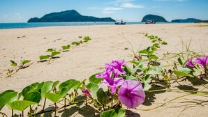 Una playa con flores púrpuras en primer plano y barcos al fondo.