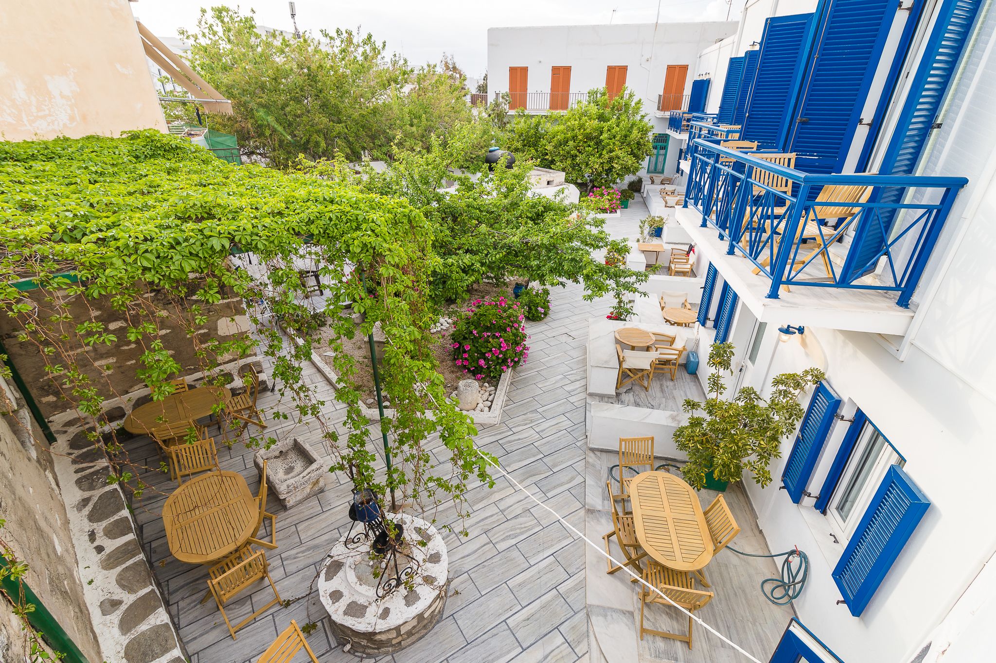 Foto - Captain Manolis