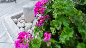 Un muro de piedra con una ventana y un área de estar al aire libre.