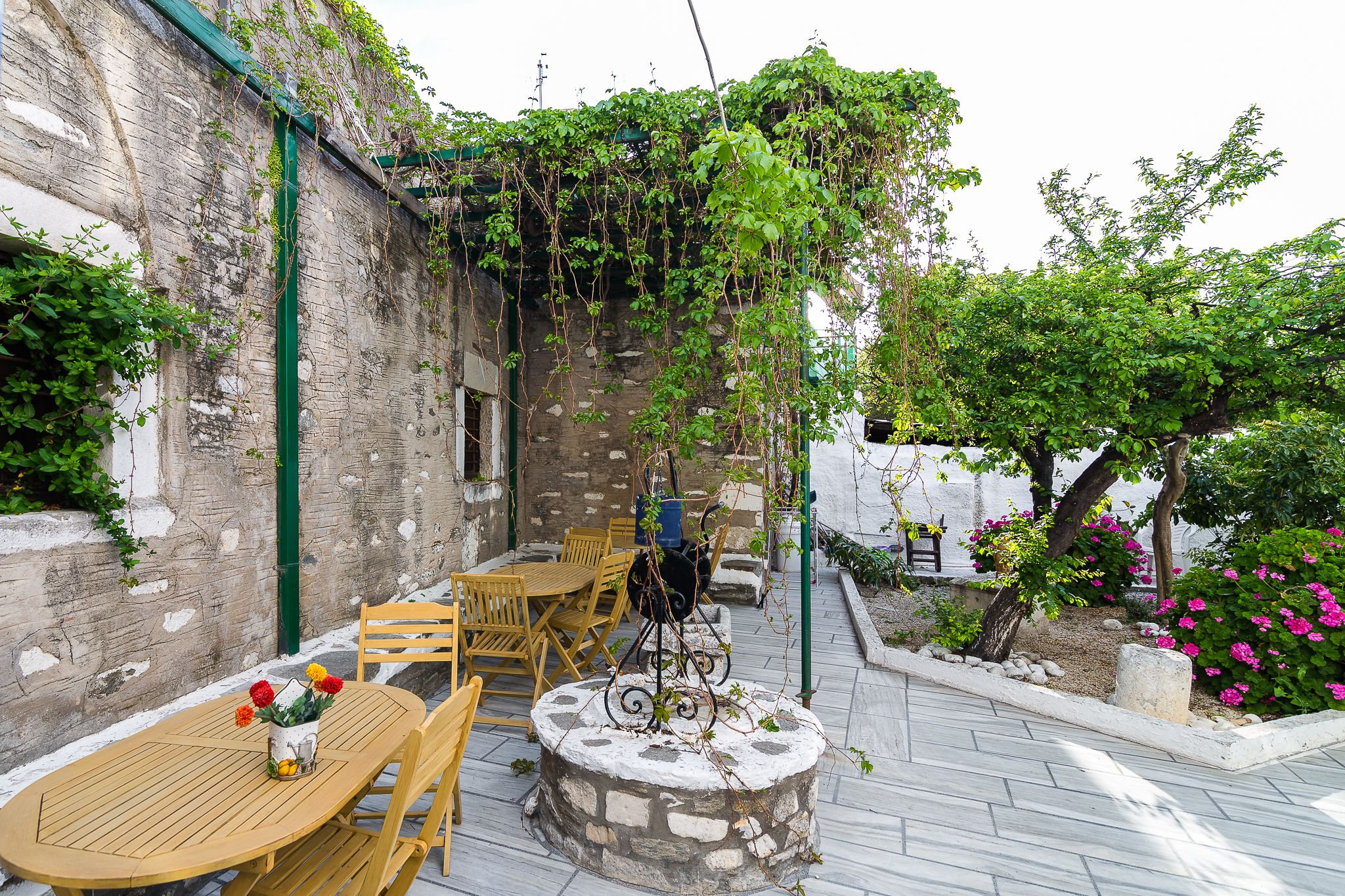 Foto - Captain Manolis